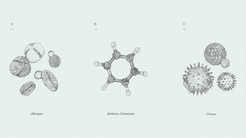 Molekule designed by Character