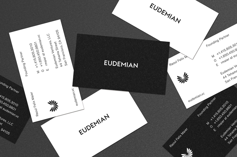 Eudemian Ventures designed by Studio Mast